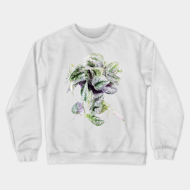 Satin Pothos Watercolor Crewneck Sweatshirt by joanniecandi